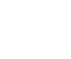 logo AM podatki 
